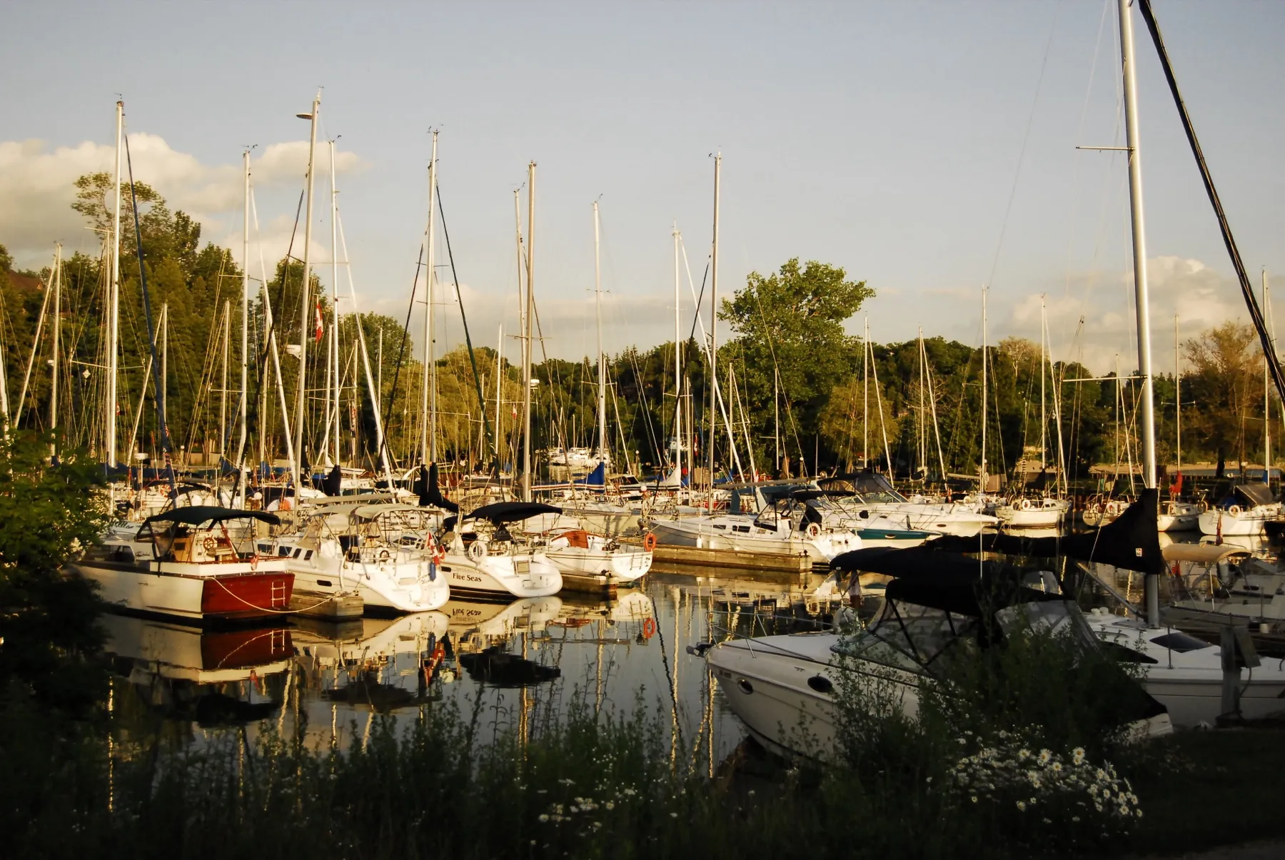 Summer evening at Bayfield harbour